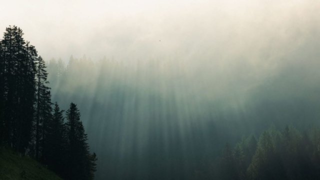 Fog curtain (Misurina, Italy) by David Páez
