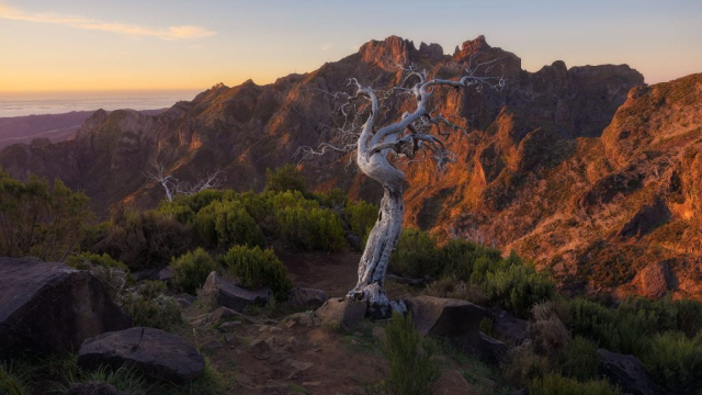 Resilience (Pico Ruivo, Madeira)
