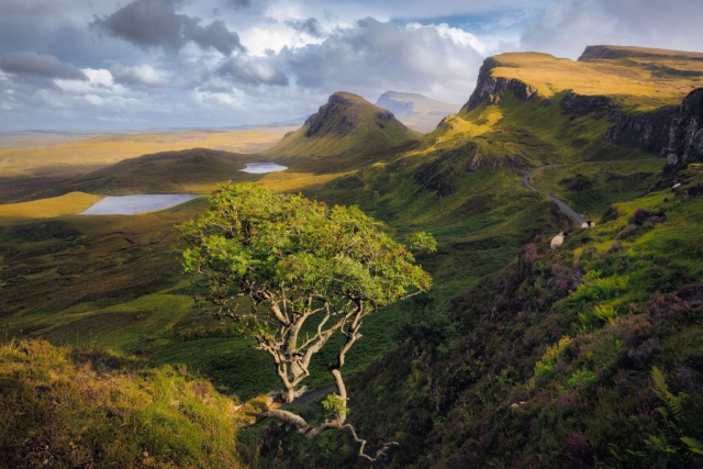Safe spot (The Quiraing, Scotland)