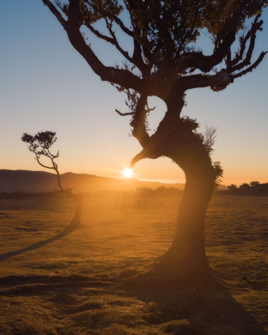 Un toque de luz (Madeira)